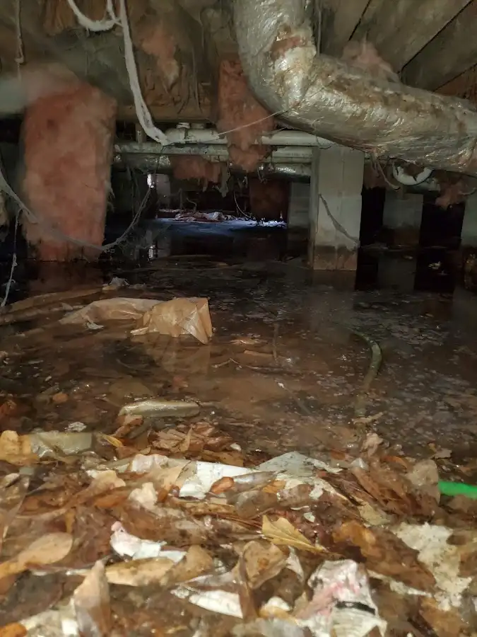 Crawl space flood assessment for Leak Detection & Repair in Gig Harbor
