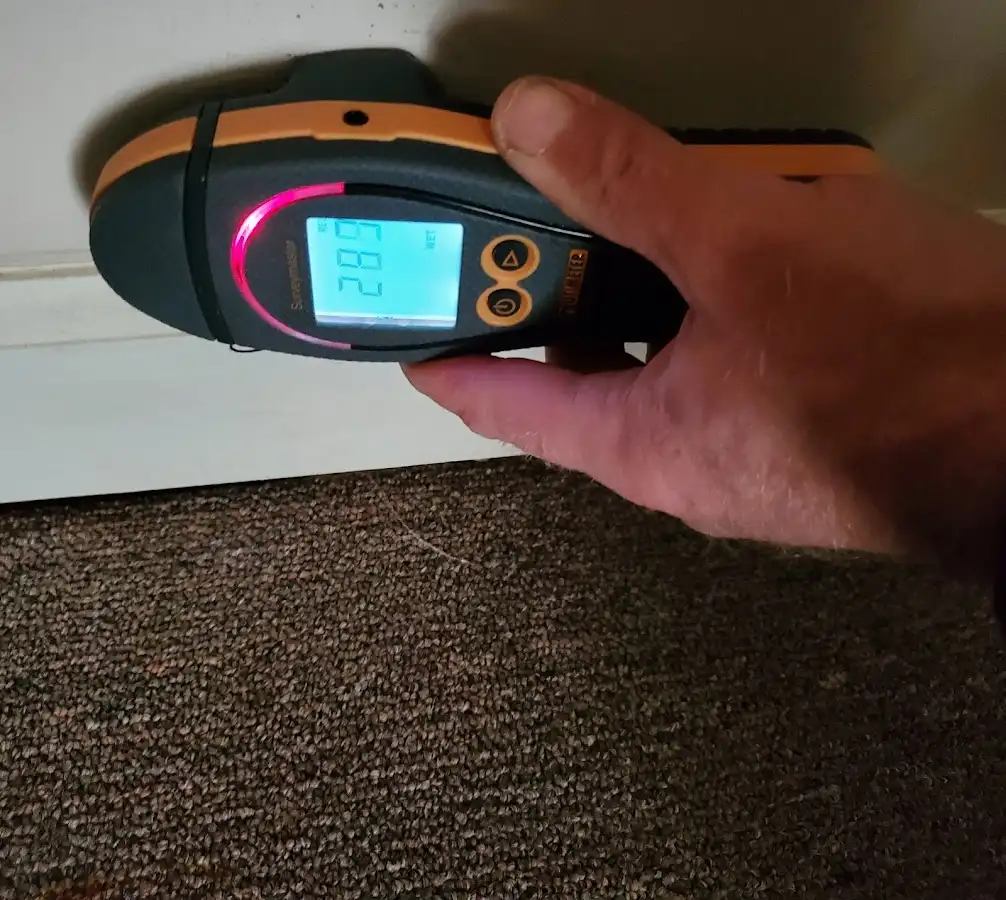 Moisture detection at baseboard during Burst Pipe Cleanup in Gig Harbor