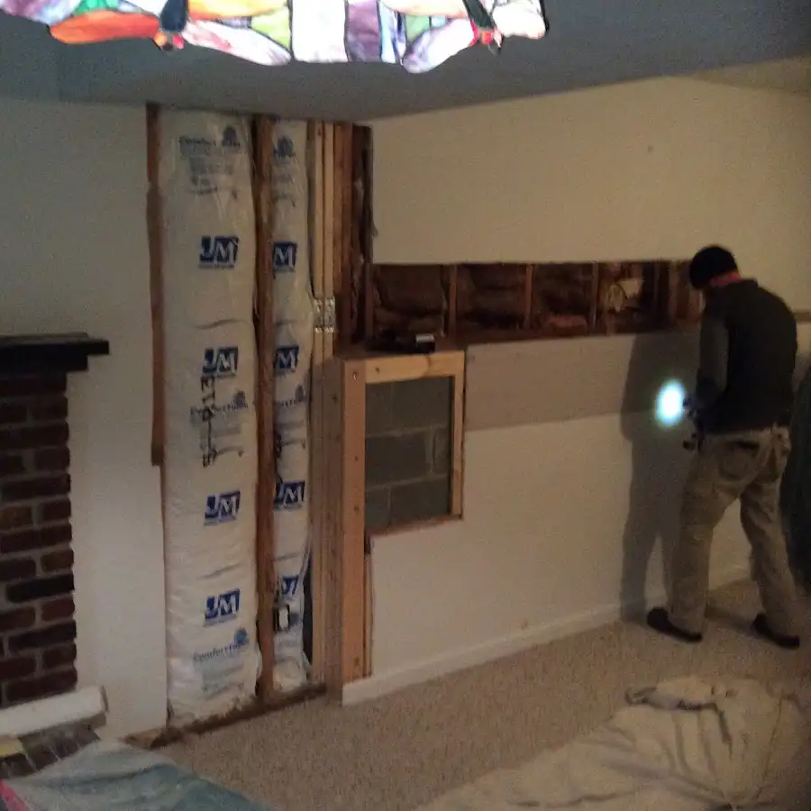 Restoration technician inspecting water damage in Gig Harbor
